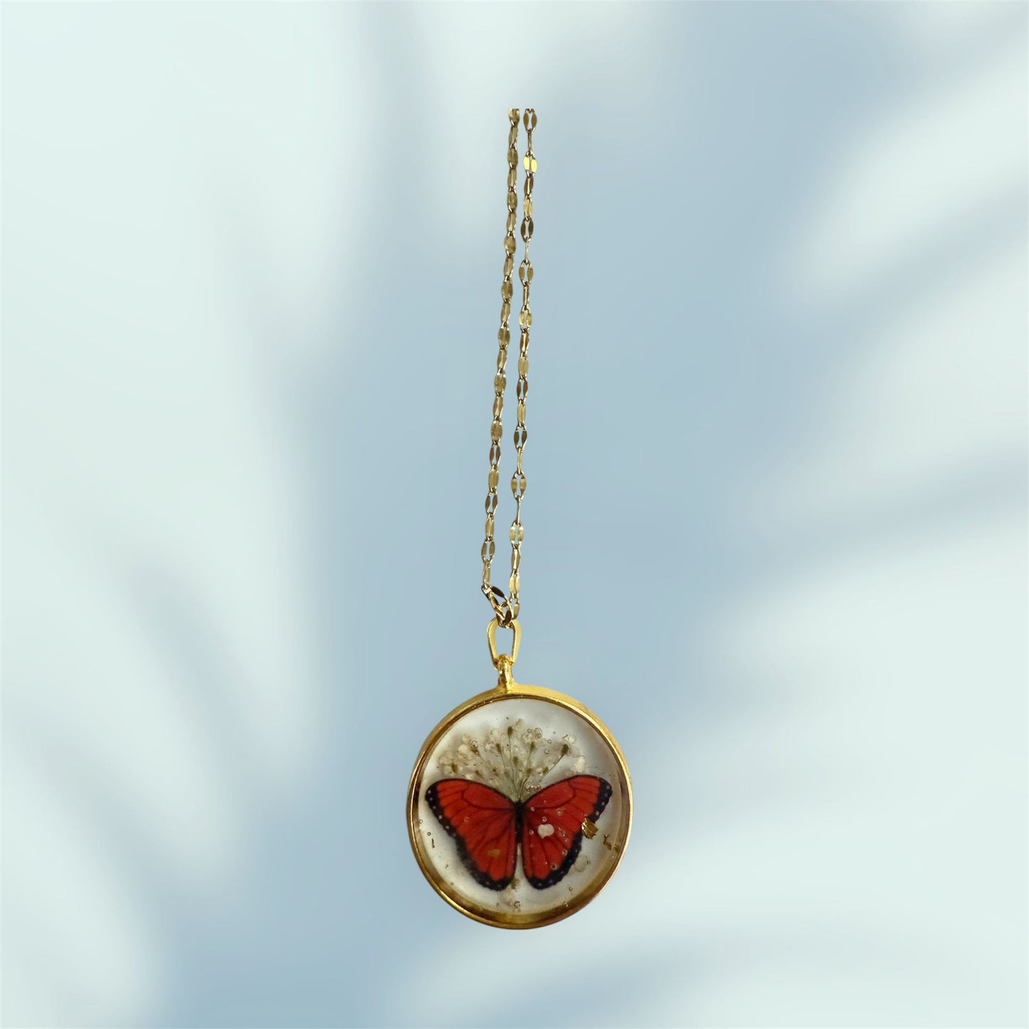 Wings of Passion / Battito di Passione - agoaleyourguide 10.0