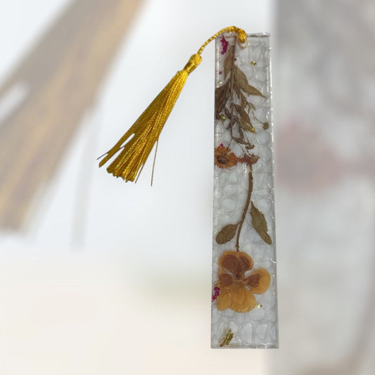 Leafin / SegnFiaba - agoaleyourguide   5.99