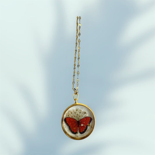 Wings of Passion / Battito di Passione - agoaleyourguide   10.0